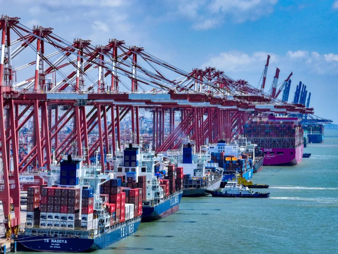 海运费反弹只是暂时征象，，，，海运价钱还会再跌