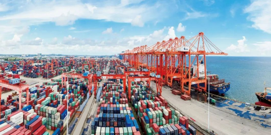 什么是海运口岸效劳？？？？