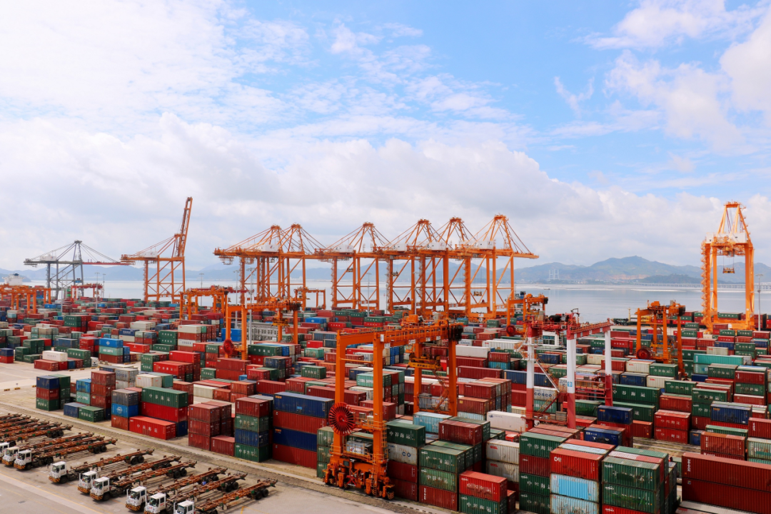 海内海运免柜期一样平常有几天，，，，，海运滞箱费是什么？？？？？