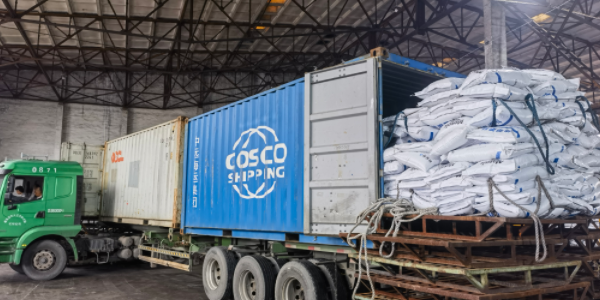 ?有机肥料可以走集装箱海运吗，，，，，需要注重什么？？