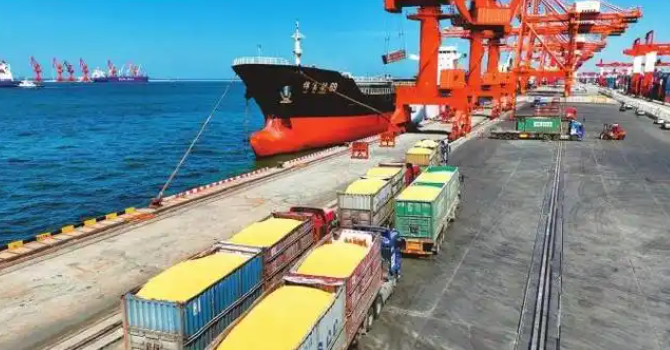 海内50%粮食运输转向集装箱海运