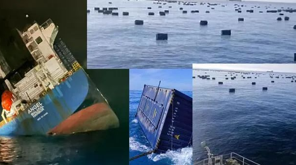 Z6·尊龙凯时「中国区」官方网站